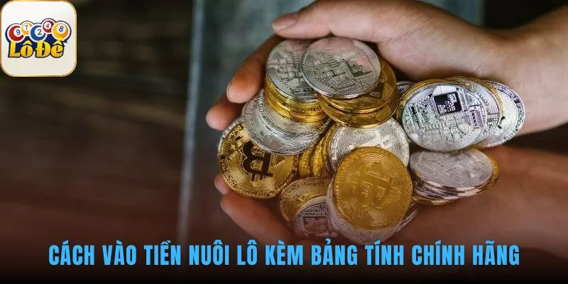 Vào tiền nuôi lô hiệu quả nhờ kỹ thuật phân bổ dòng vốn