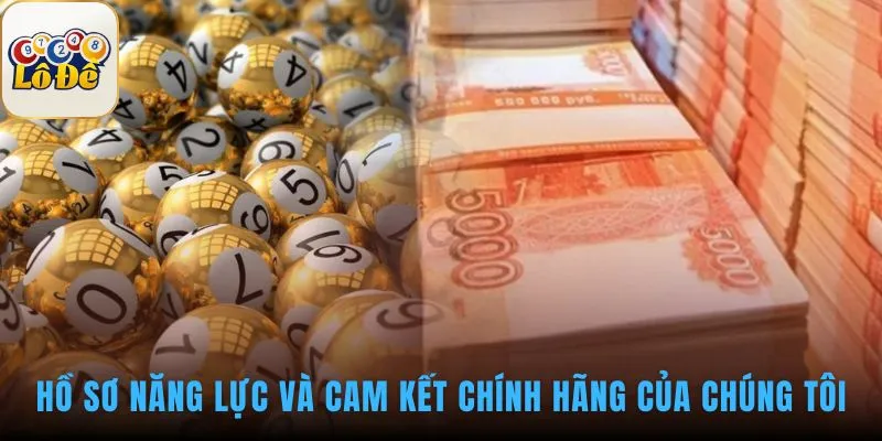 Hồ sơ năng lực thể hiện cam kết qua giá trị và chuyên môn