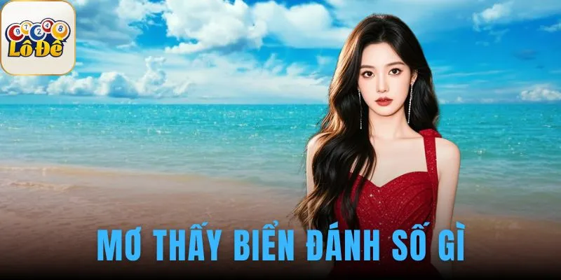 Mơ thấy biển đánh số gì